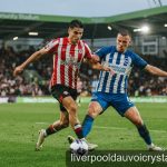 Nhận định phong độ: Tại sao Brentford và Brighton trở thành 'ngựa ô' tại Premier League 2026/27?